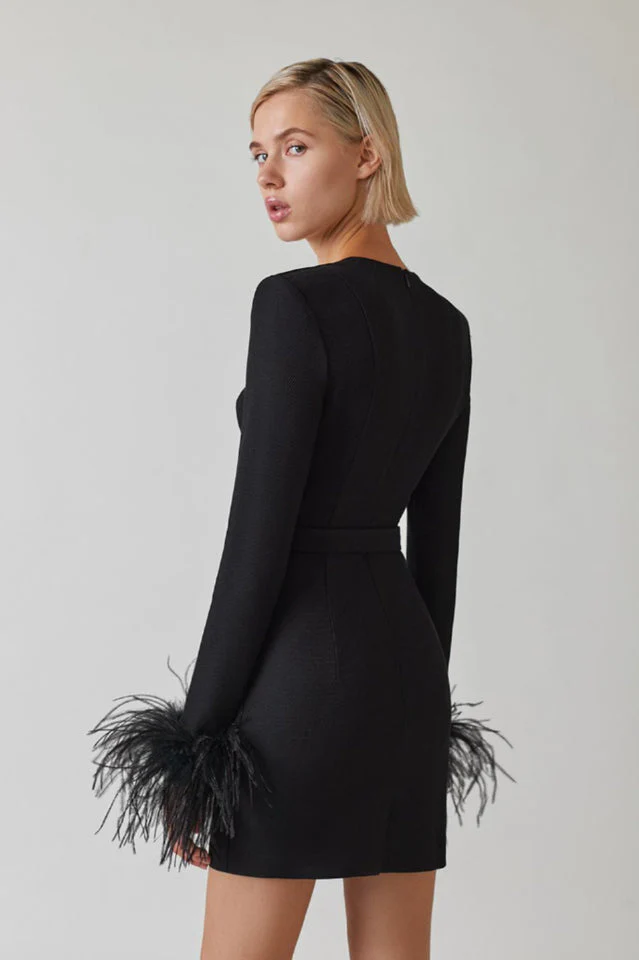 Feather Long Sleeve Bustier Dress - Image 10